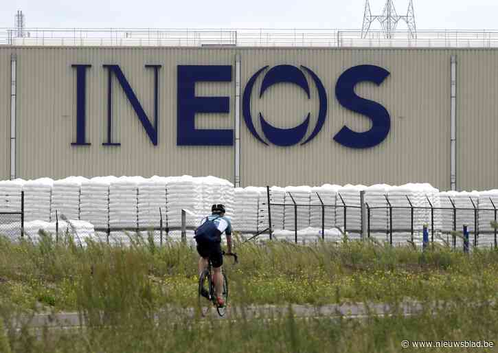 Natuurverenigingen in beroep tegen boskapvergunning Ineos in de haven