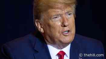 Trump speaks with Saudi king after Pensacola shooting