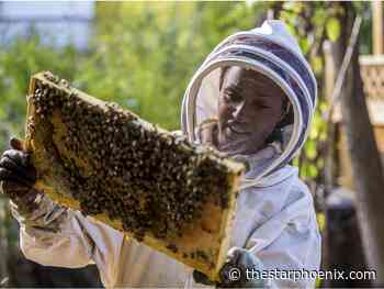Photos: Best of 2019 by StarPhoenix photographer Matt Smith