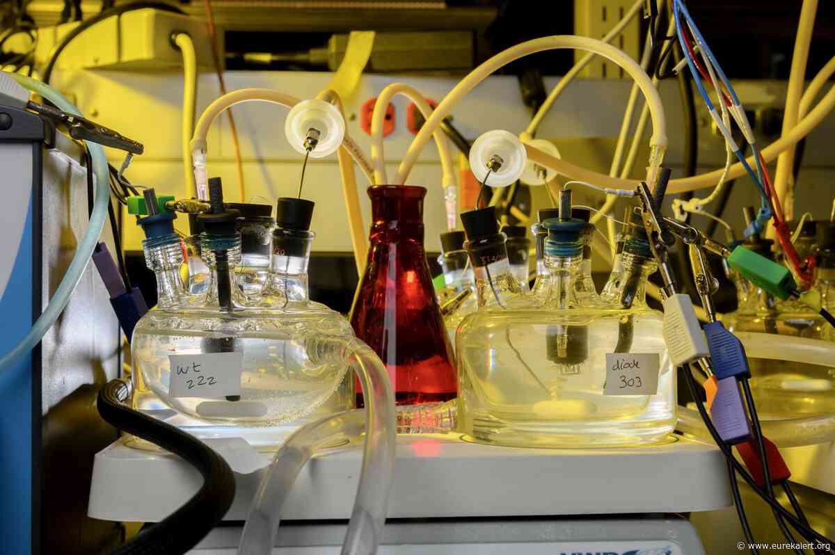 Naval Research Lab rolls out 'express licensing' of patented inventions