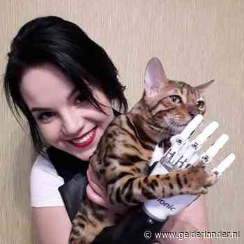 Russische protesteert tegen huiselijk geweld, nadat echtgenoot haar handen afhakte