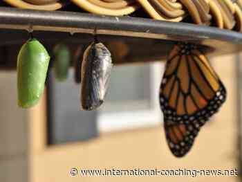 The Art of Coaching for Personal Transformation