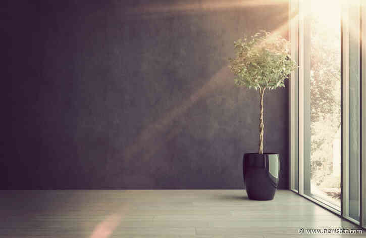 Researcher: Bitcoin is Alive and Well, Price Still in Macro Uptrend