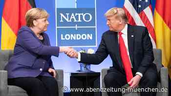 Zurzeit steht die Kanzlerin hoch im Kurs: Donald Trump: Lob und Tadel für Angela Merkel