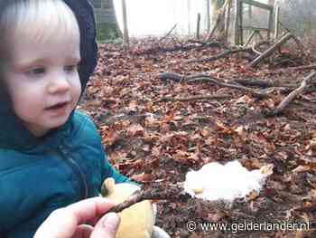 Simen en zoon Teije ontdekken na jaren zoeken zeldzaam natuurverschijnsel: ijshaar