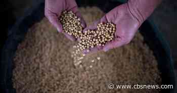 China: We'll waive tariff hikes on U.S. soybeans and pork
