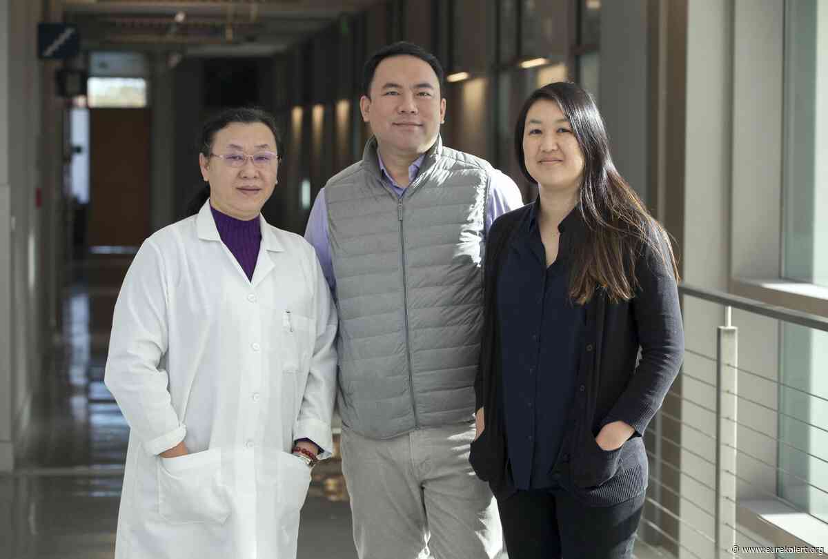 The next step in organ transplants: New startup takes aim at reperfusion injury