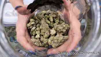 'Low number' of 8 cannabis-related driving offences during first year of legalization: Police chief