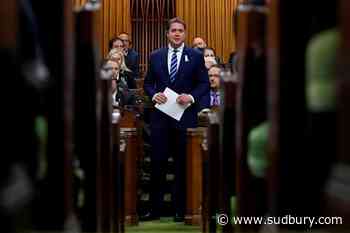 Scheer isolated as lone champion of energy sector, foe of carbon tax
