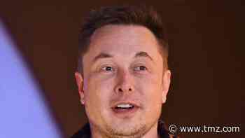 Elon Musk Wins Defamation Trial Over 'Pedo' Comment