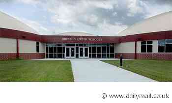 Wisconsin school closes after 30% of students call out sick with norovirus