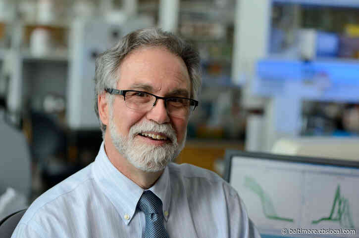 Johns Hopkins Medicine Professor Gregg Semenza In Sweden To Accept Nobel Prize