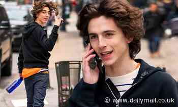 Timothee Chalamet looks casual in jeans and a hoodie as he hangs out in NYC's Tribeca district 