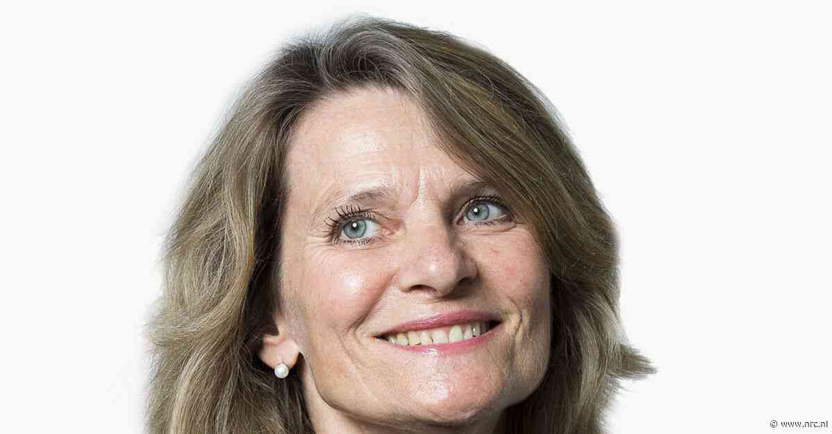 De euro kan Europa beschutten