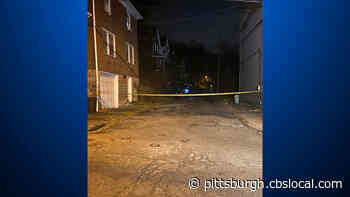 Police Activity In Turtle Creek