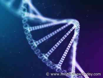 Medical News Today: Alzheimer's risk gene and heavy metal exposure may impair cognition