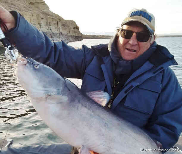 Pueblo Fisherman Reels In State Record Catfish