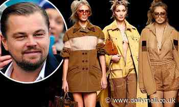 Leonardo DiCaprio parties into early morning hours with Kendall Jenner and Hadid sisters in Miami
