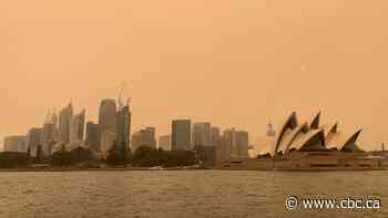 Sydney blanketed by orange skies as wildfires rage on