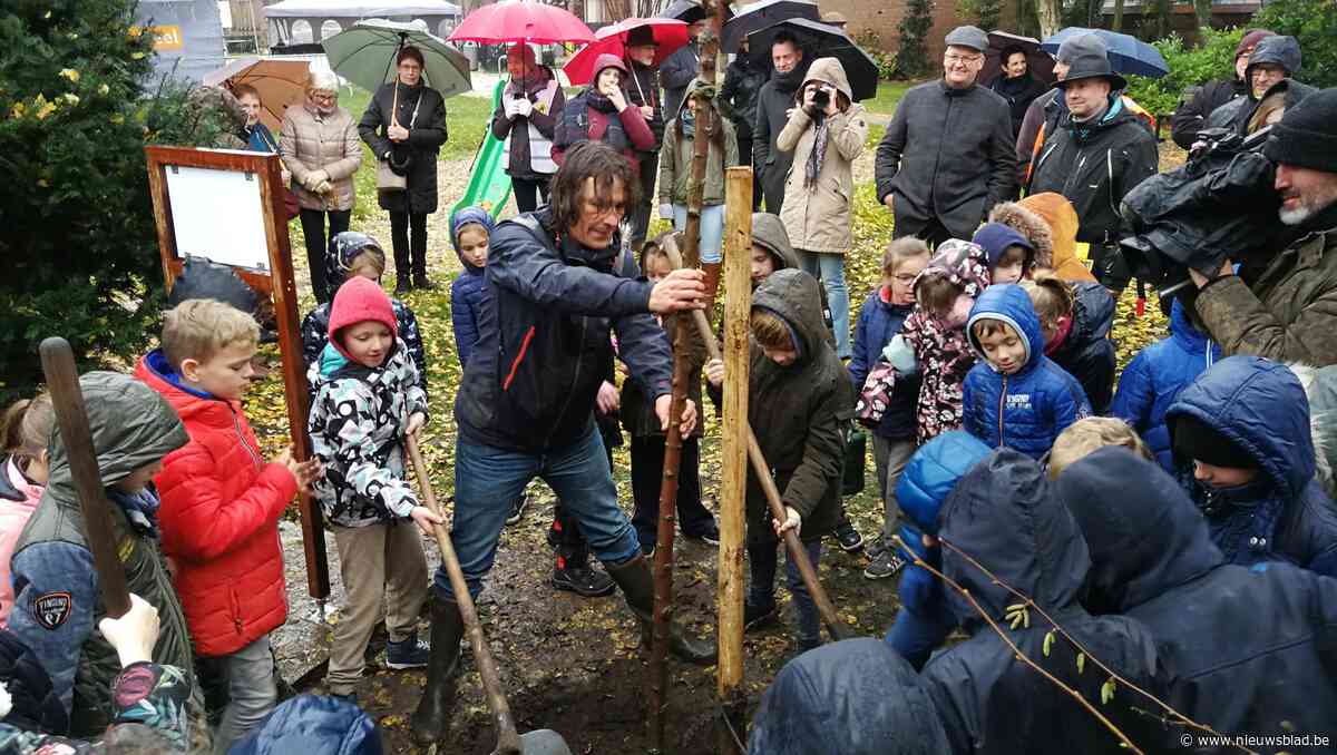 Behaag onze Kempen plant na 25 jaar de miljoenste boom