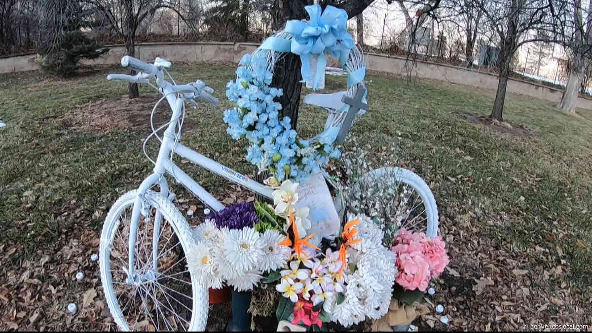 ‘Protected Bike Lanes- Critical’: Cycling Community Talks Safety After Mother Killed