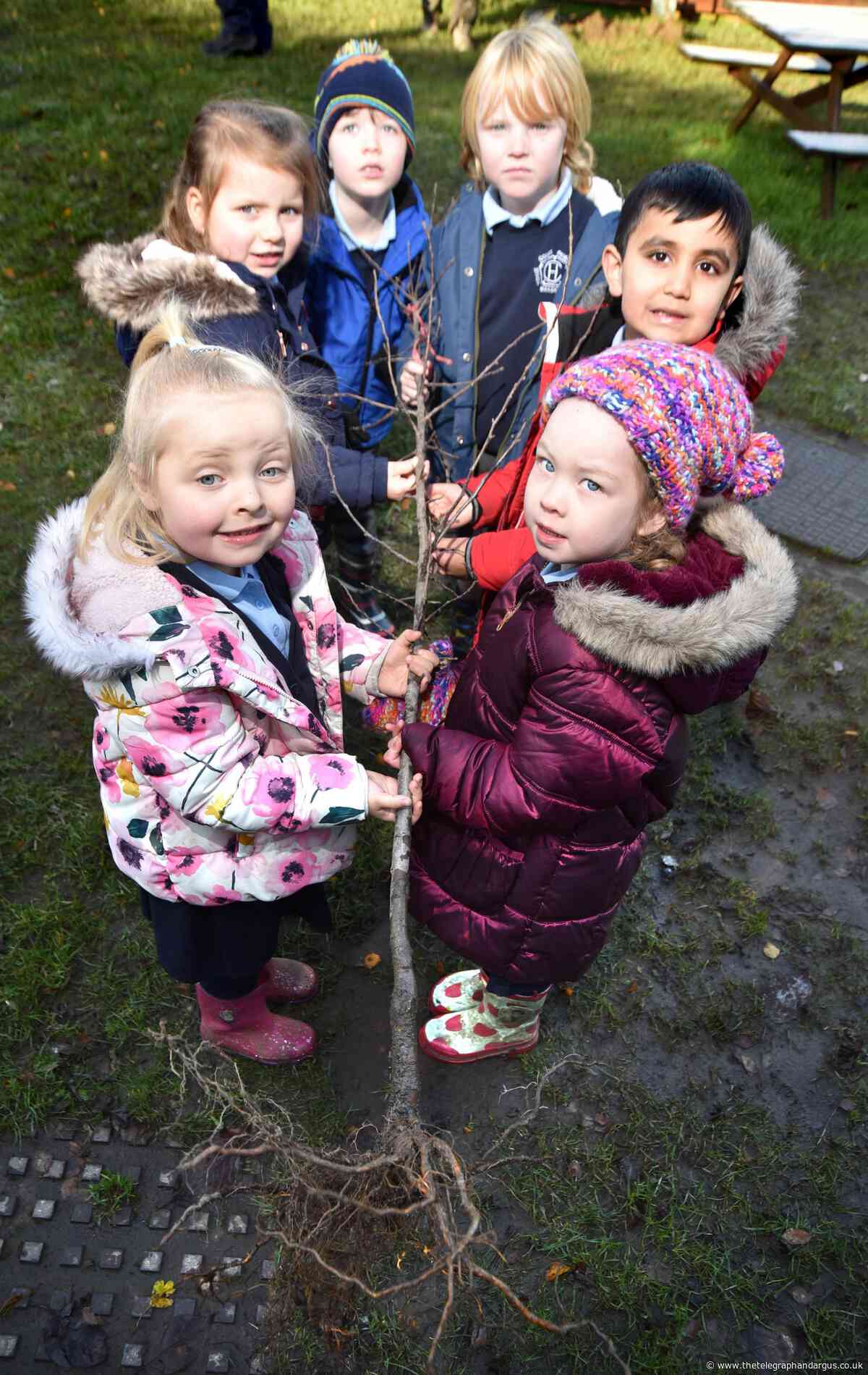 Hoyle Court Primary pupils lay down roots as part of tree planting scheme