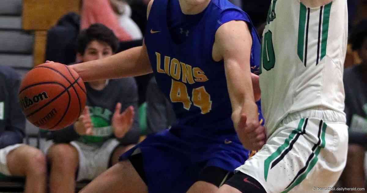 Hesch, York take OT victory vs. LT