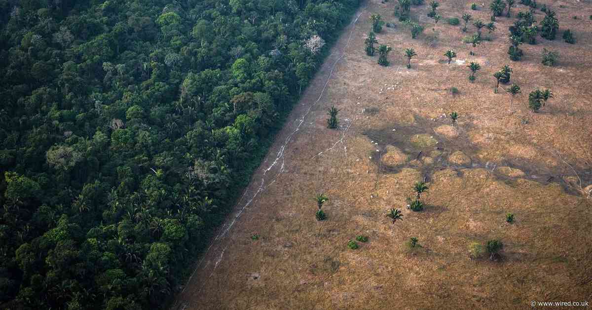 Ten facts that show this was the decade when our planet burned