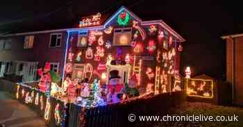 Grandmother's light display is so elaborate hundreds turn up to watch the switch-on