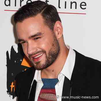 Liam Payne panned for bisexual fantasy song on debut album