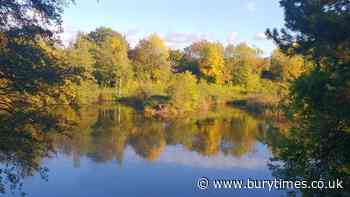 Weekend walk: This is a great walk for nature lovers