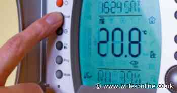 Are you eligible for a Cold Weather Payment this winter? Here's how to check