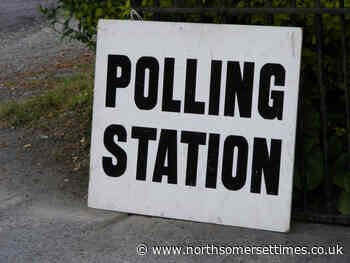 General election survey results