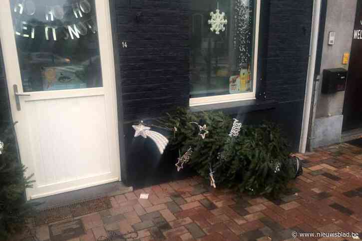 Vandalen houden niet van Kerstmis in 't Tonneke