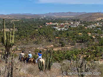 Baja beyond Los Cabos where nature and adventure reign
