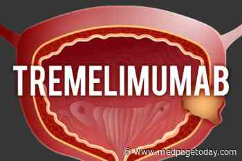 CTLA-4 Inhibitor Shows Promise in Pretreated Urothelial Cancer