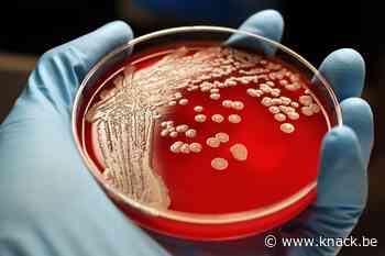 Ziekenhuisbacteriën veroorzaken bloedklontertjes