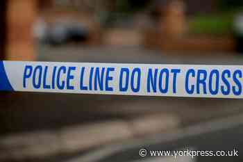 Car crashes into Barlby house