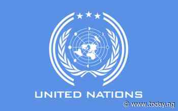 UNODC: Nigerians paid N675 billion cash as bribes to public officials in 2019