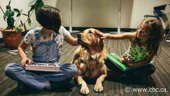 Dogs may be smarter than we think — and can benefit our health in ways we don't realize