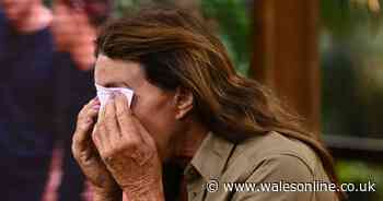 I'm a Celeb's Caitlyn Jenner lifts lid on 'complicated' Kardashian row which saw her leave jungle alone