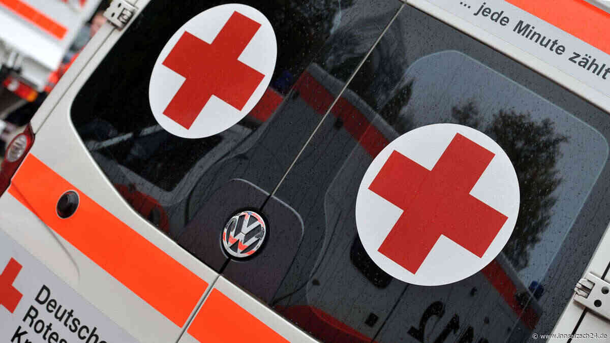 Pallinger (20) prallt mit Auto gegen Baumstumpf - verletzt