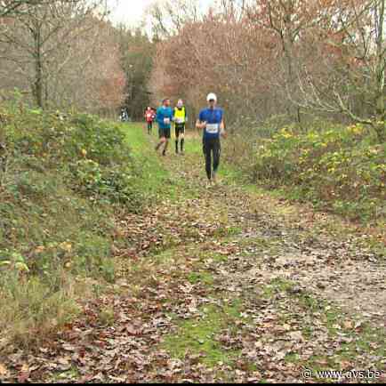 Sinterklaastrail in Drongengoedbos
