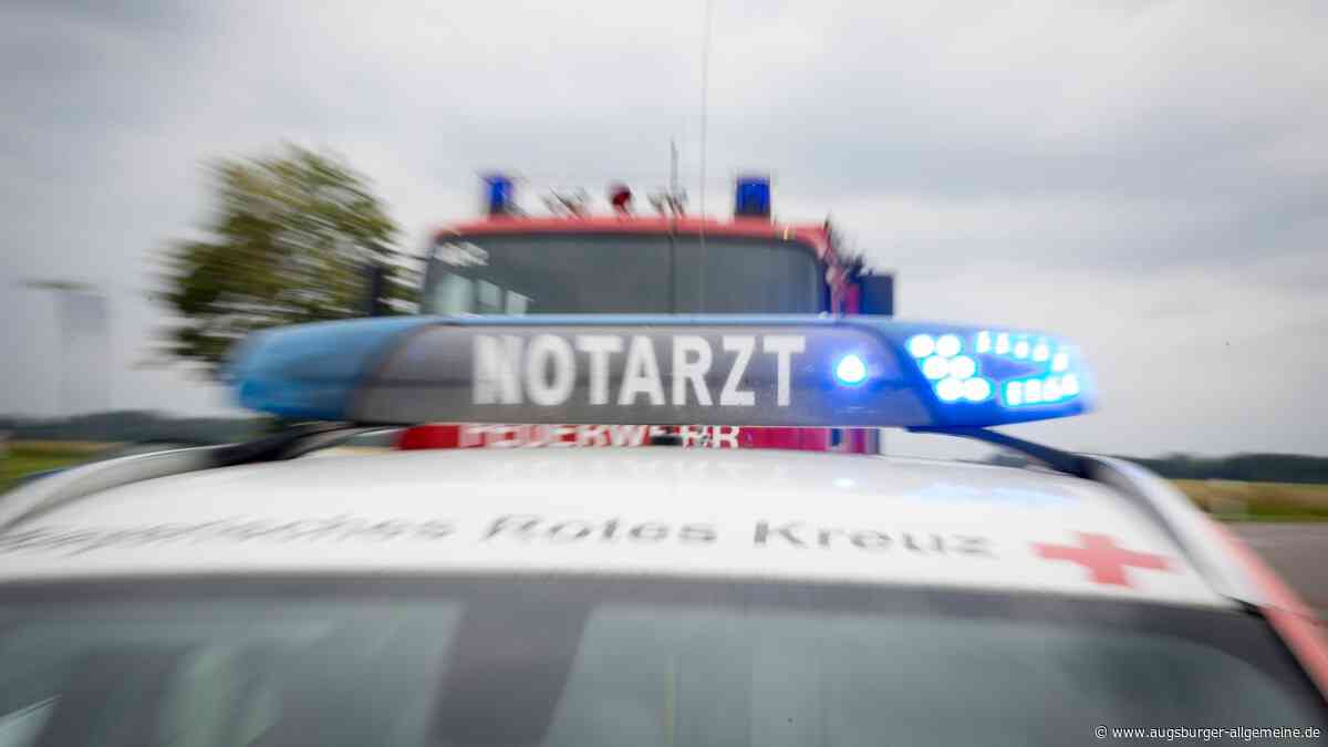 Autofahrerin prallt bei Asch gegen einen Baum