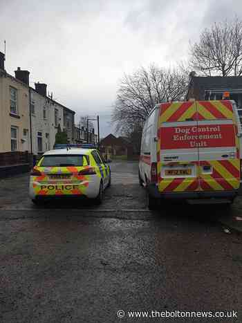 Owner issued warning after two dogs attacked in Little Lever