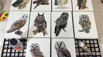 Self-taught artist paints the 7 owl species found, but not easy to see, in province