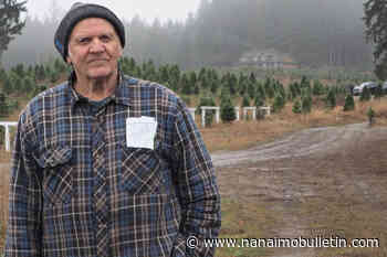 Gogo’s tree farm celebrates 90th year of growing Christmas trees