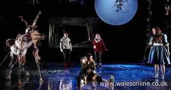 The one Christmas tradition that spans the generations