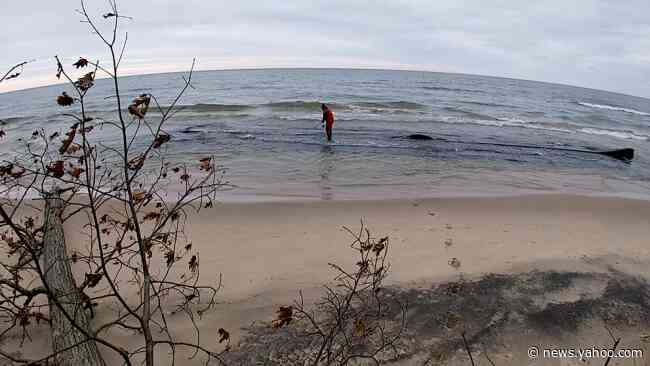 Thanksgiving storm resurfaces a mystery from the depths of Lake Michigan