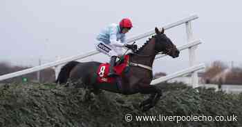 Hogan's Height wins the Virgin Bet Grand Sefton Chase at Aintree Racecourse